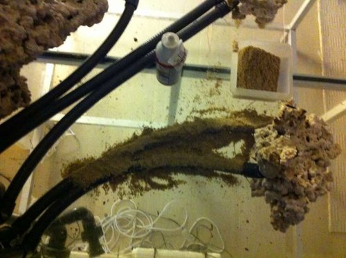 111.JPG (49.58 KiB) Vist 2020 gange Rørføringen er dækket med PU lim og sand for at kamuflere rørene.