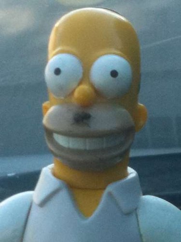 image.jpg