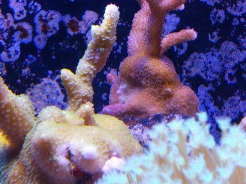 IMG_20130926_211746.jpg