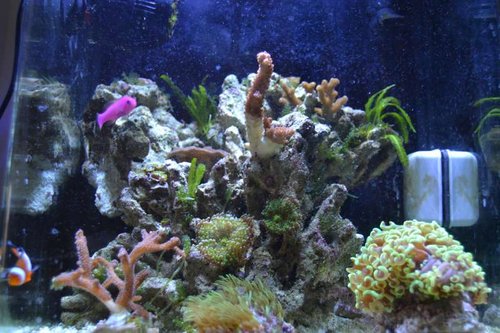 DSC_0880.JPG