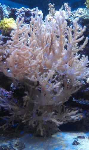 IMAG1118.jpg