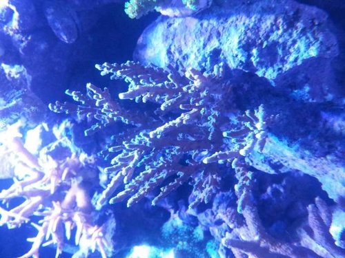 20131003_193114.jpg