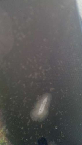 IMAG0232.jpg