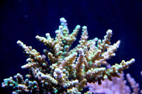 IMG_0494.JPG