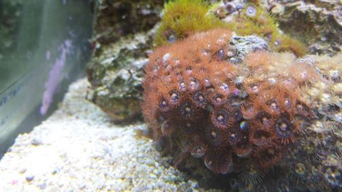 2013-10-07 12.59.05.jpg