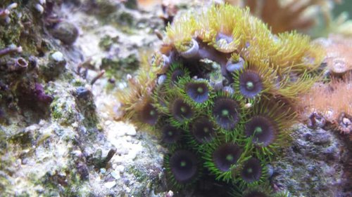 2013-10-07 12.59.28.jpg