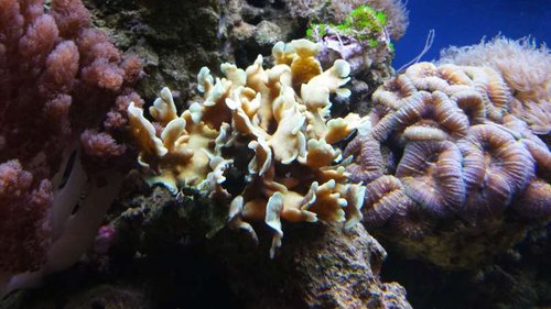 2013-10-07 12.59.34.jpg