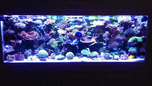 2013-10-06 21.07.13.jpg