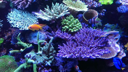 2013-10-06 21.08.19.jpg