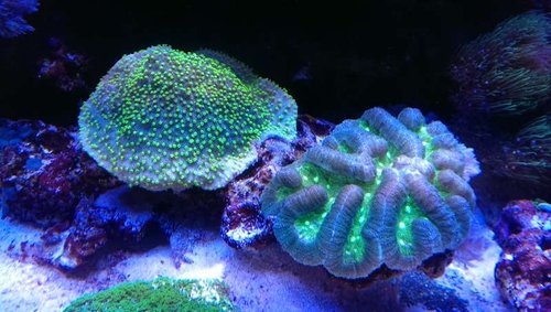 2013-10-06 21.09.08.jpg