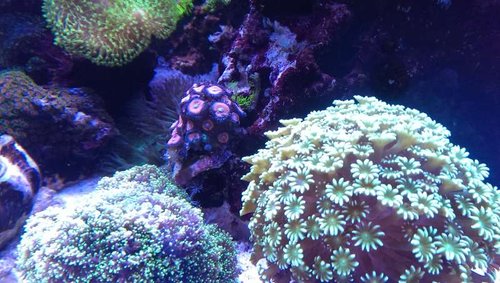 2013-10-06 21.09.27.jpg