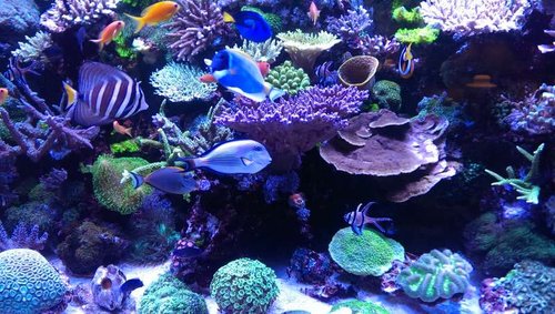 2013-10-06 21.10.11.jpg