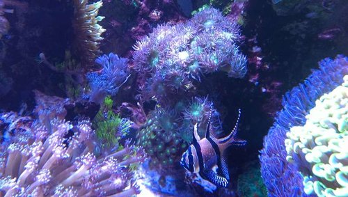 2013-10-06 21.10.42.jpg