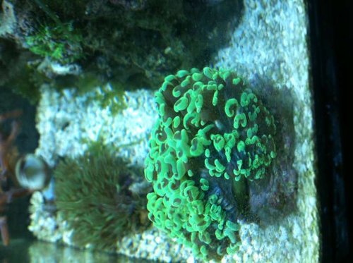 IMG_0404.JPG