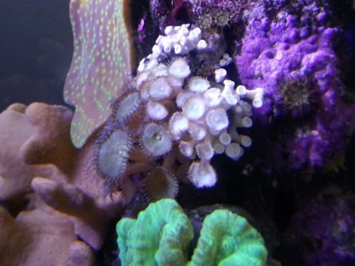 20131015_174056.jpg