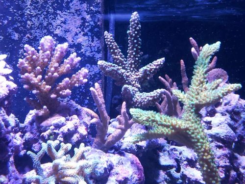 20131015_180233.jpg