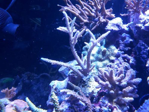 20131015_180457.jpg