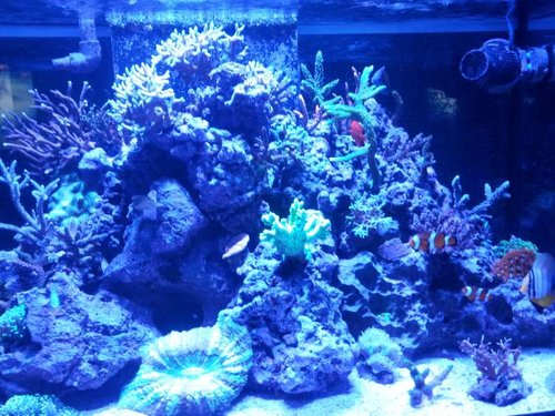 20131015_193017.jpg