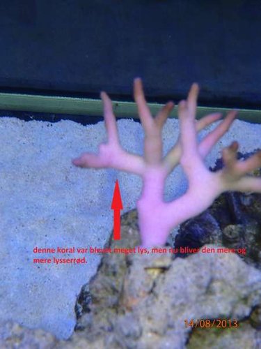 1408.JPG (24.44 KiB) Vist 1483 gange 1