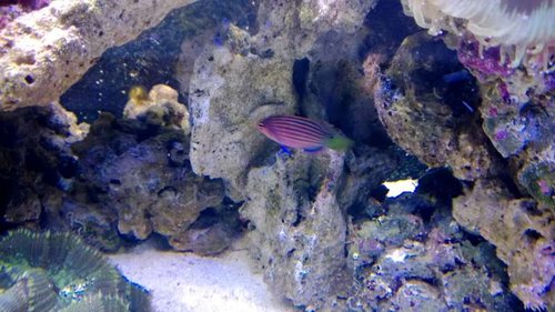 WP_20131017_19_38_38_Pro.jpg