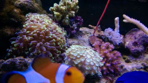 WP_20131017_19_37_40_Pro.jpg