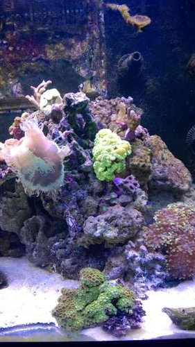 WP_20131017_19_37_26_Pro.jpg