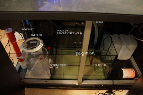 Sump.JPG