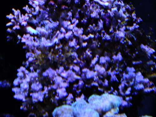 DSCF8879 (Medium).jpg