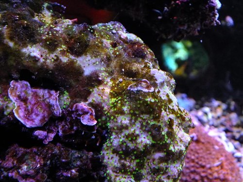 DSCF8881 (Medium).jpg