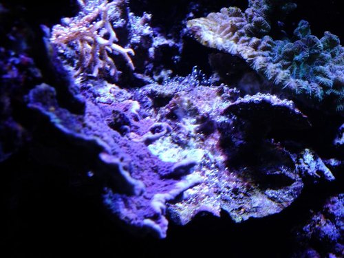 DSCF8882 (Medium).jpg