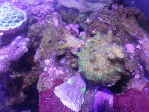 20131022_131329.jpg