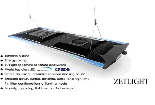 Zetlight.jpg