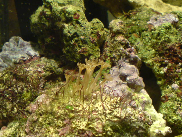 DSC00925.JPG