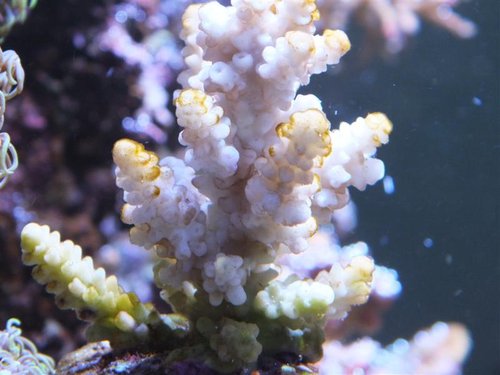 DSCF8896 (Medium).jpg