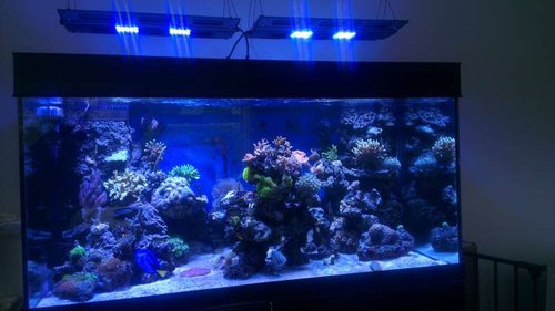 2013-11-02 13.04.30.jpg