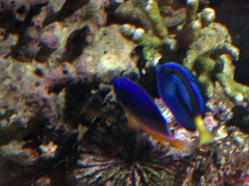 2013-11-03 17.29.44-1.jpg