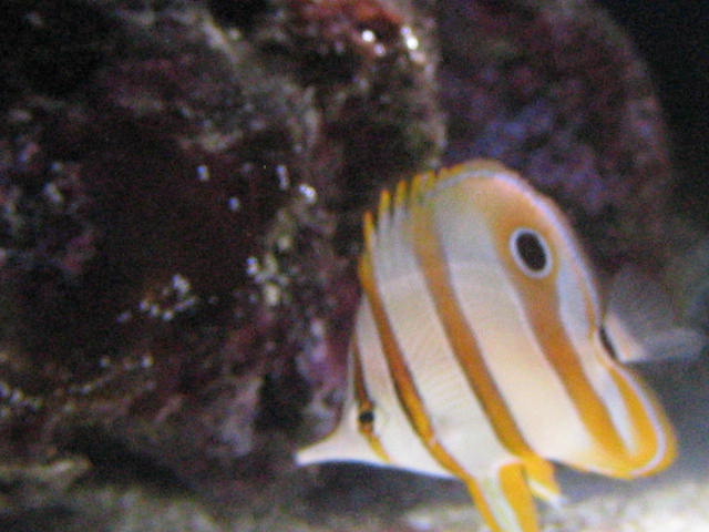 IMG_5516.JPG