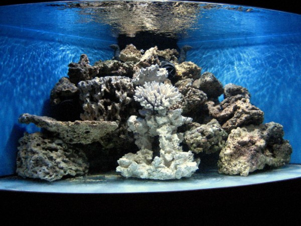 BTN modul v 118 (600 x 450).jpg
