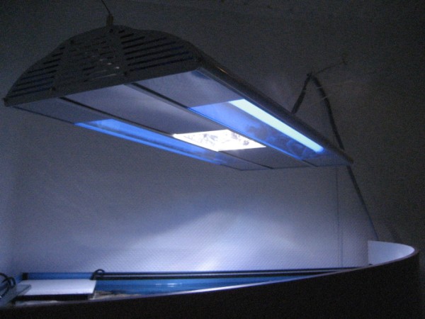 BTN modul v 147 (600 x 450).jpg