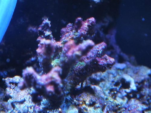 DSCF8945 (Medium).jpg