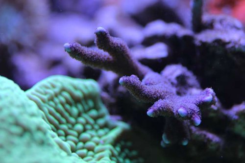 IMG_0993.JPG