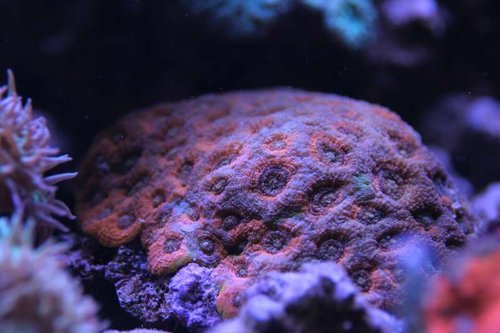 IMG_0994.JPG
