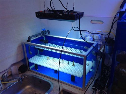 95liters frag tank