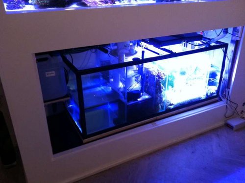 Ferskvandskammer, skummerrum, stenrum, refugium, fragmentrum (med midlertidig biopellets reaktor i baggrunden, returpumperum.