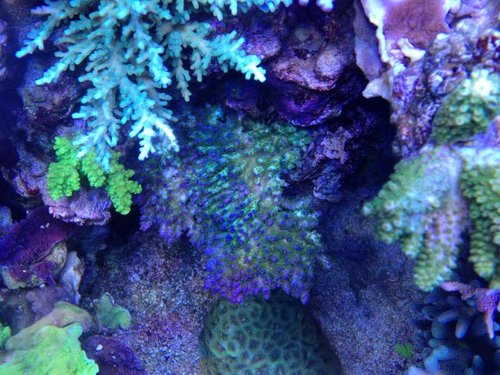 IMG_0913.JPG