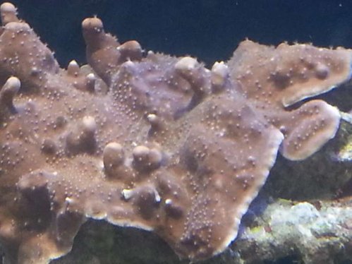 20130418_125115_1.jpg