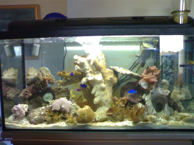 03112006005 (Small).jpg