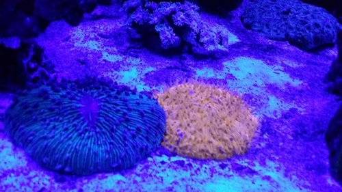 20131112_222747.jpg