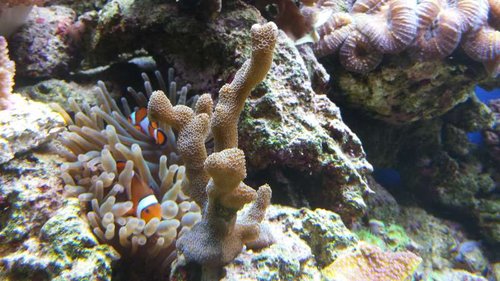 20131029_143045.jpg