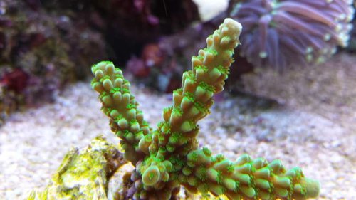 20131029_143008.jpg